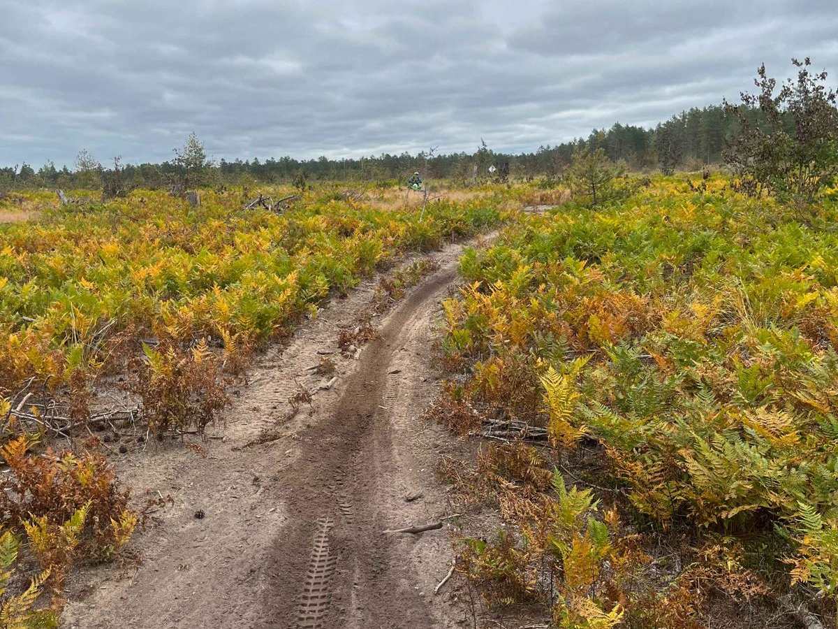Pine Ridge Trail photo 6