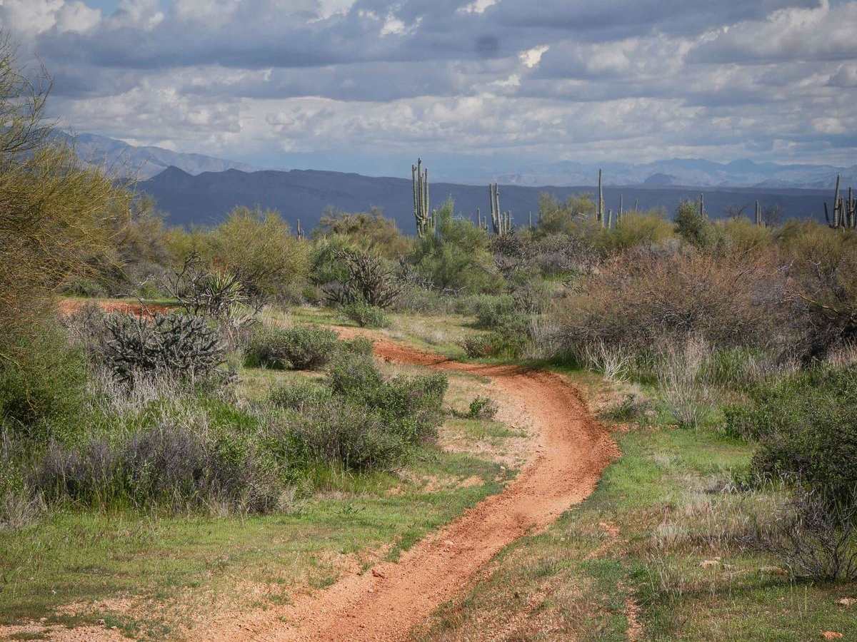 Camp Creek Access ATV Trail photo 5