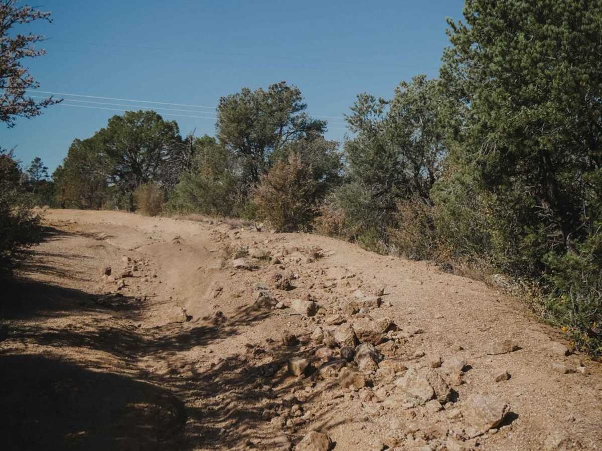 Trail 1 photo 3