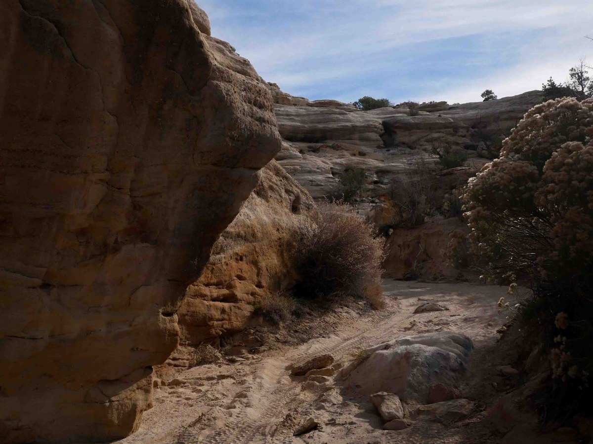 Skinny Canyon trail photo