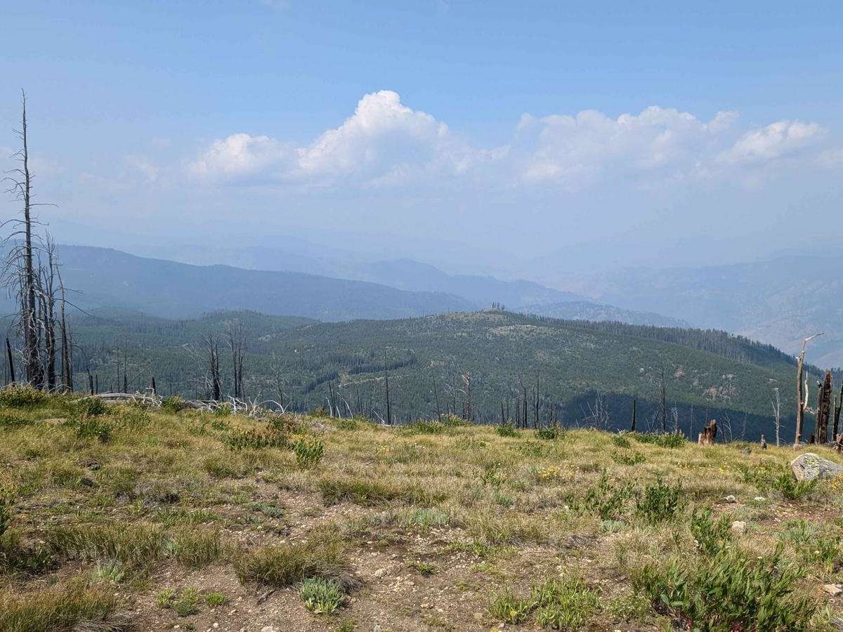 Forest Service Road 50321 (FS 321) Carey Dome photo 4