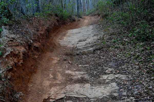 Buck Knob Trail 11