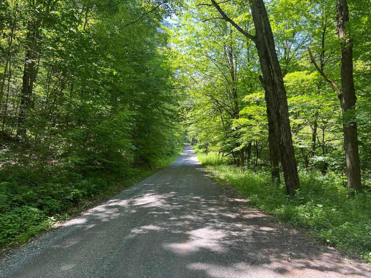 Thompson Hollow Road photo 5