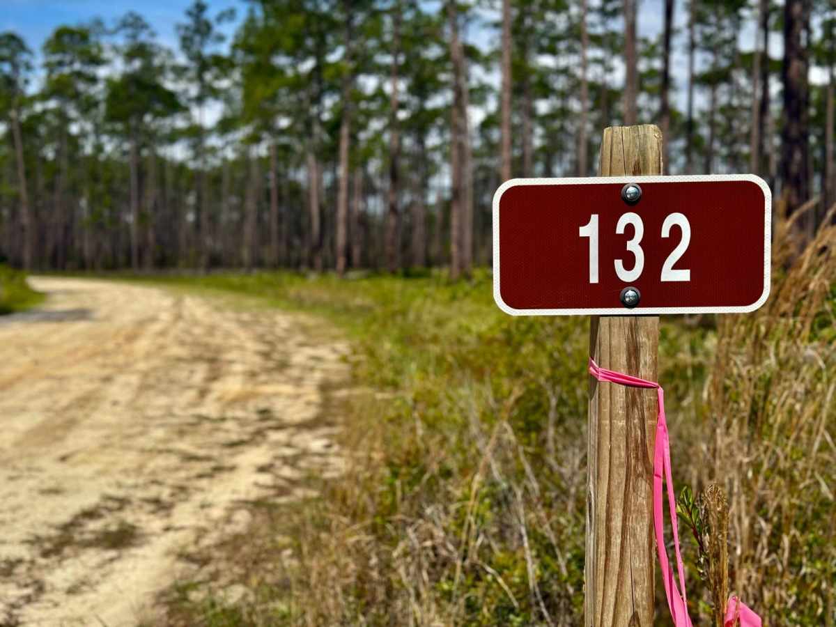 Hosford - FS 132 trail photo
