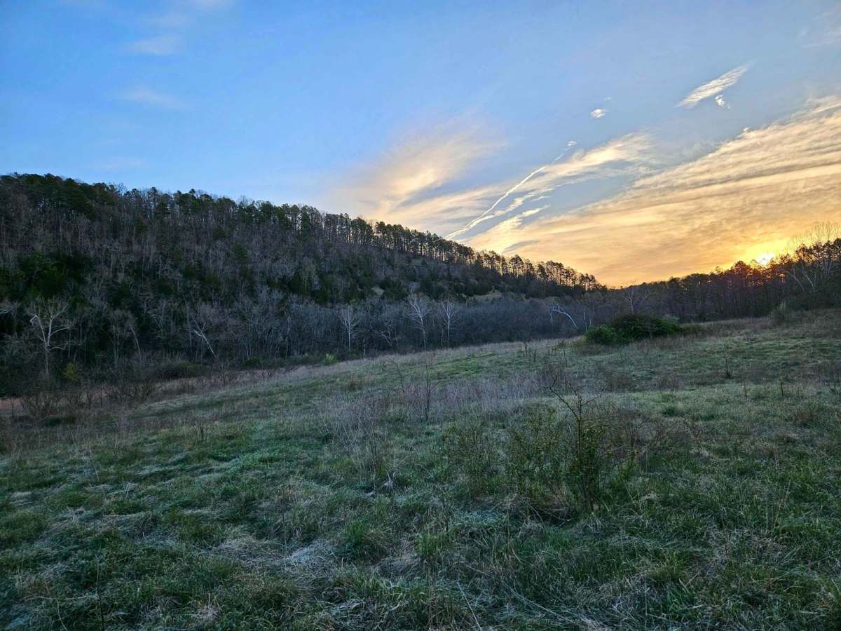 Hay Hollow trail photo
