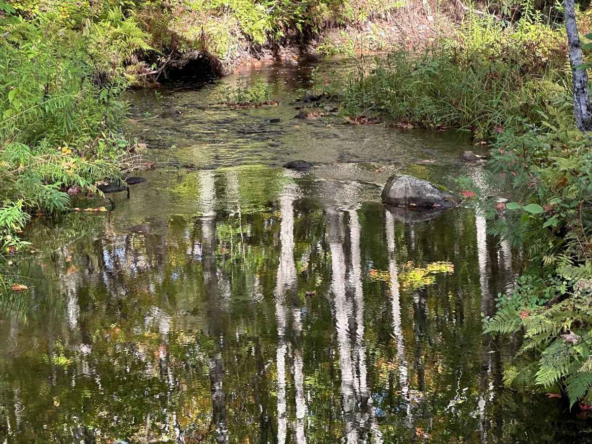 Rock River Road photo 6