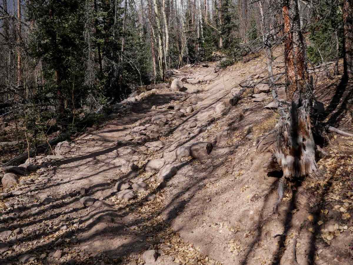 Middle Alder ATV - 797 photo 6