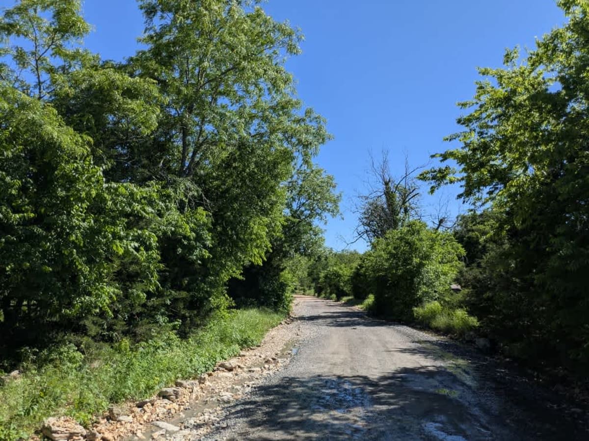 South 490 photo 4