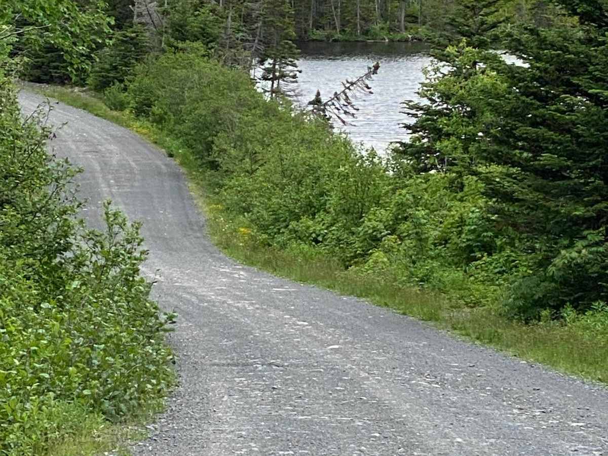 Frenchman's Pond Trail photo 3