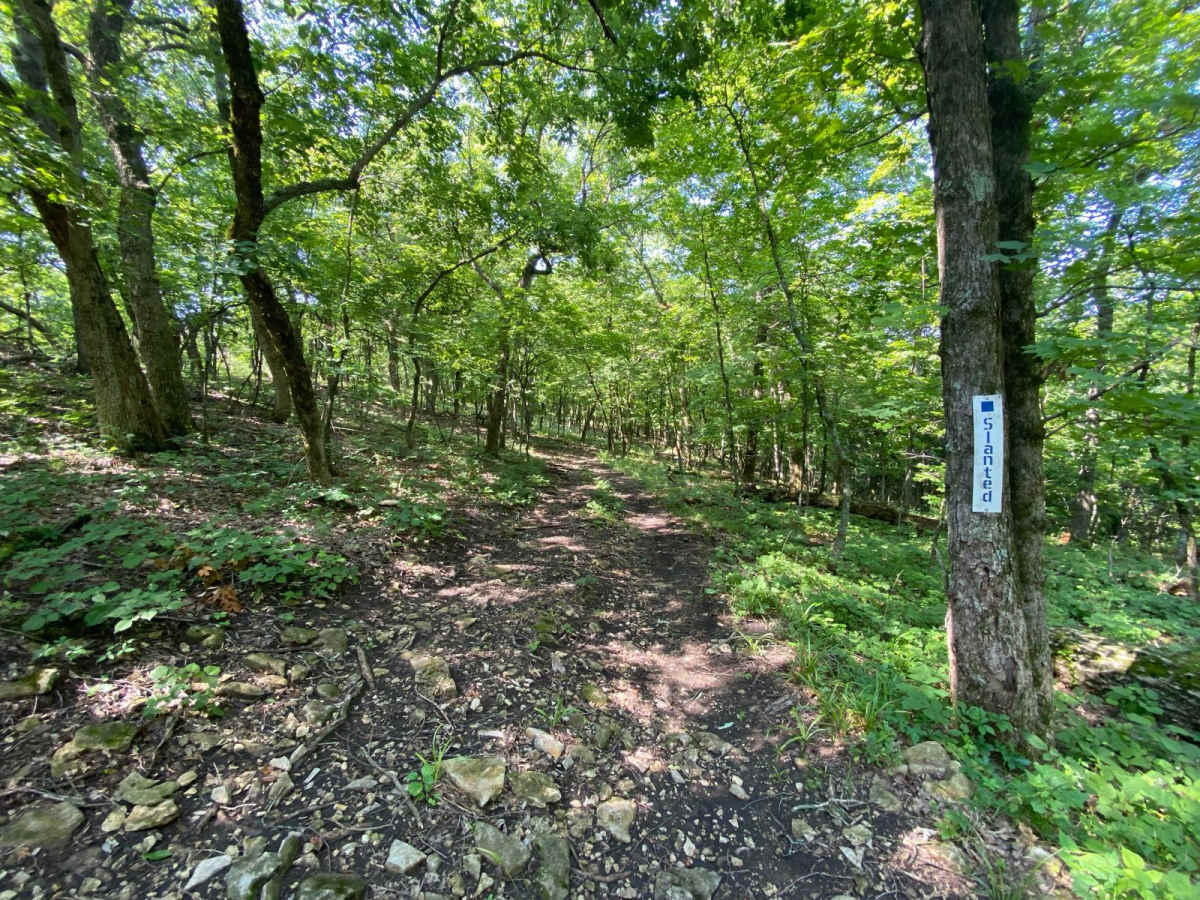 Slanted trail photo