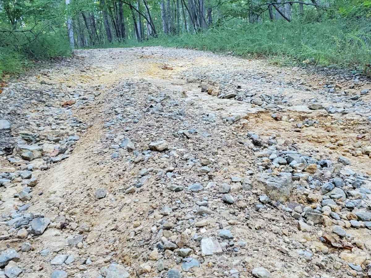 Hammond Gap - FSR 259 photo 4