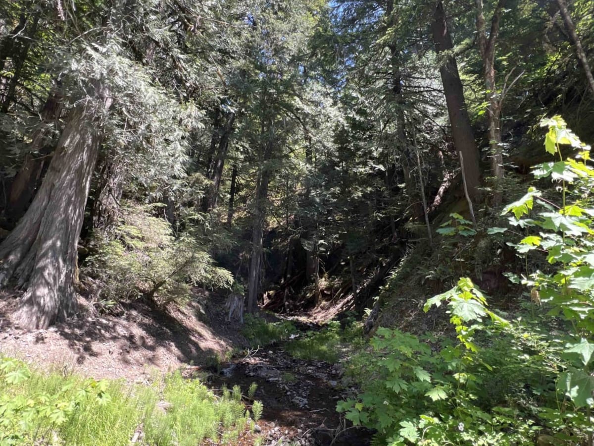 Harriet Lake 4630 photo 6