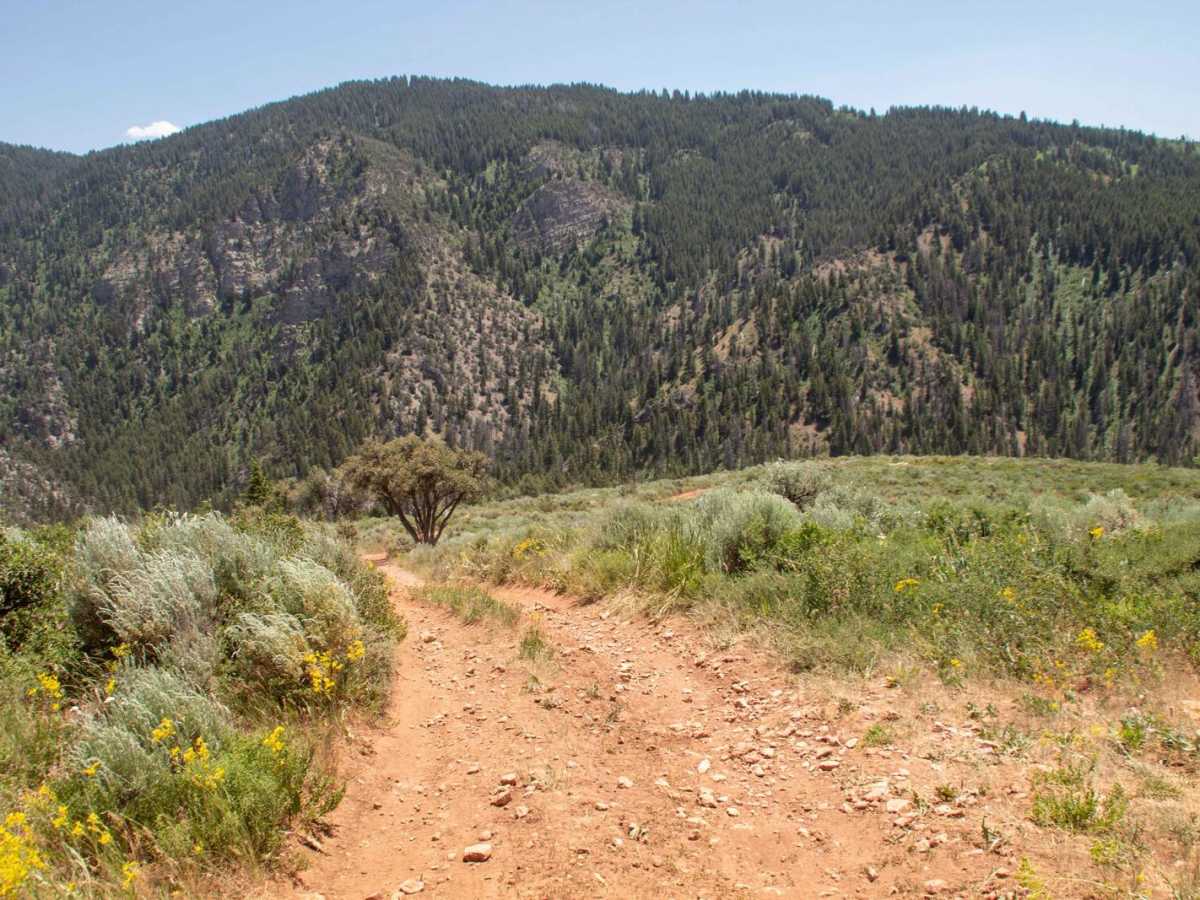 Baxter Sawmill Overlook photo 6