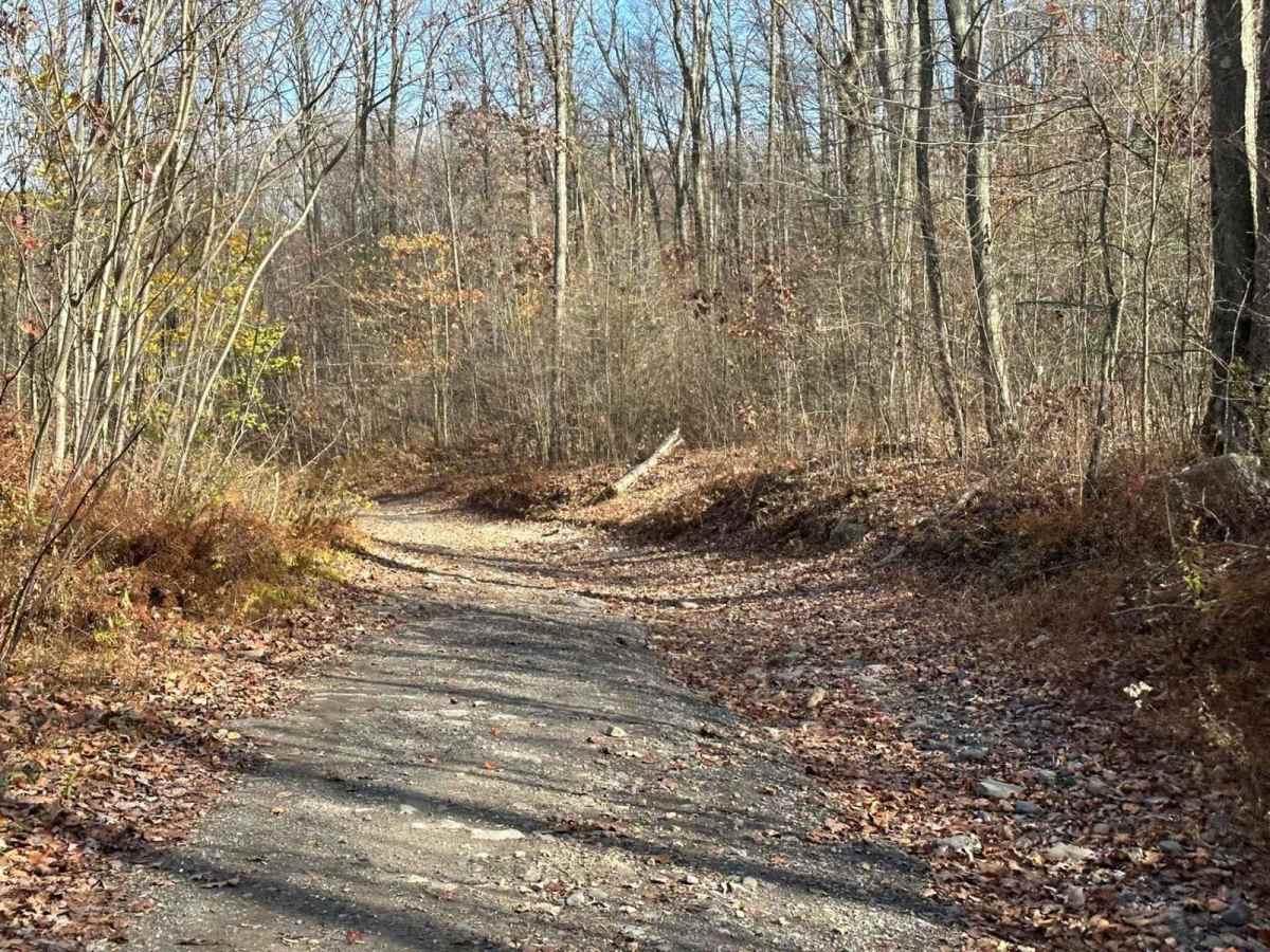 Ashland 152 photo 2
