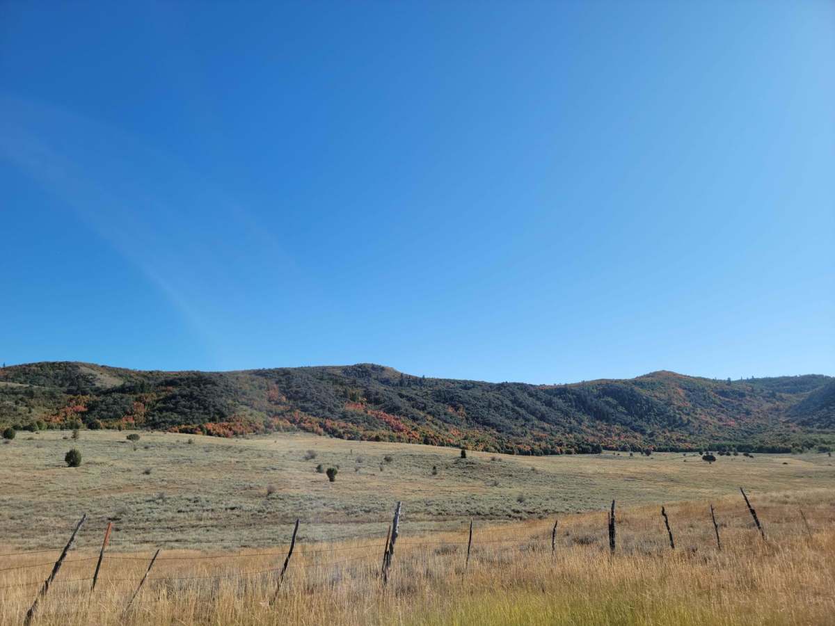 Three Mile Canyon Trail photo 3