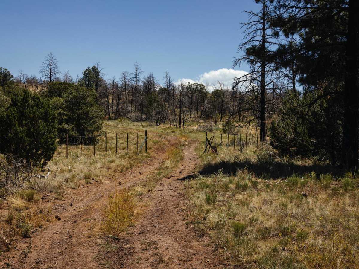 517 trail photo