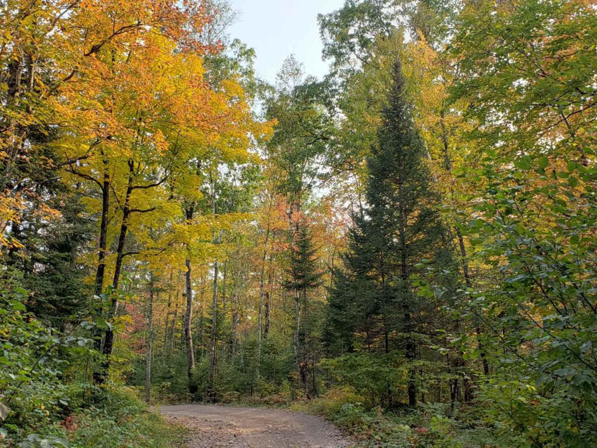 Trail 31 - Part 1 photo 4