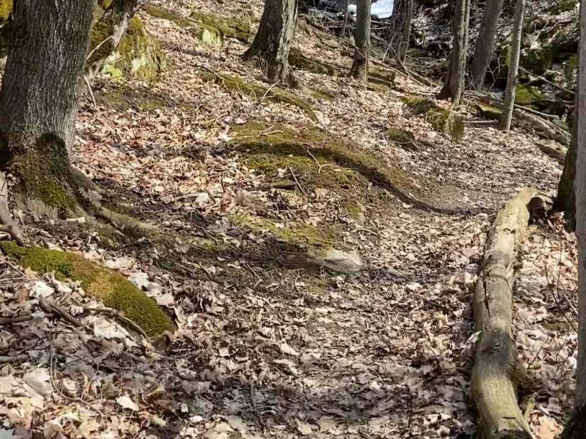 Black Edge Waterfall photo 6