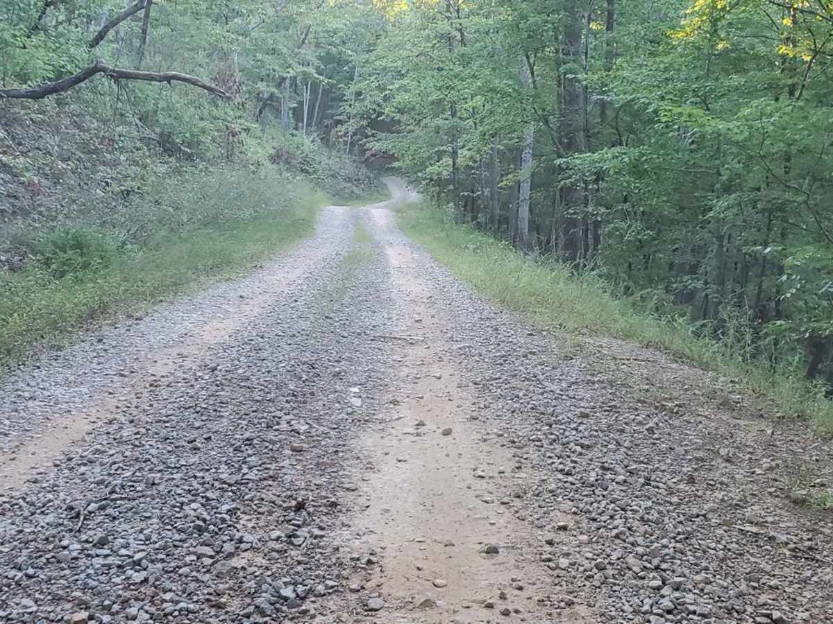 Hammond Gap - FSR 259 photo 2