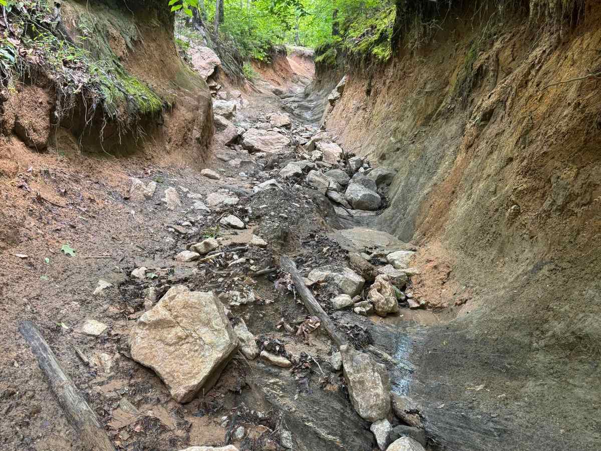 Papa Gulch trail photo