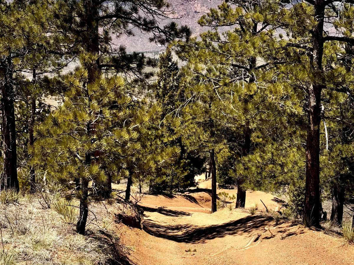 Metberry Gulch (FS 205) photo 4