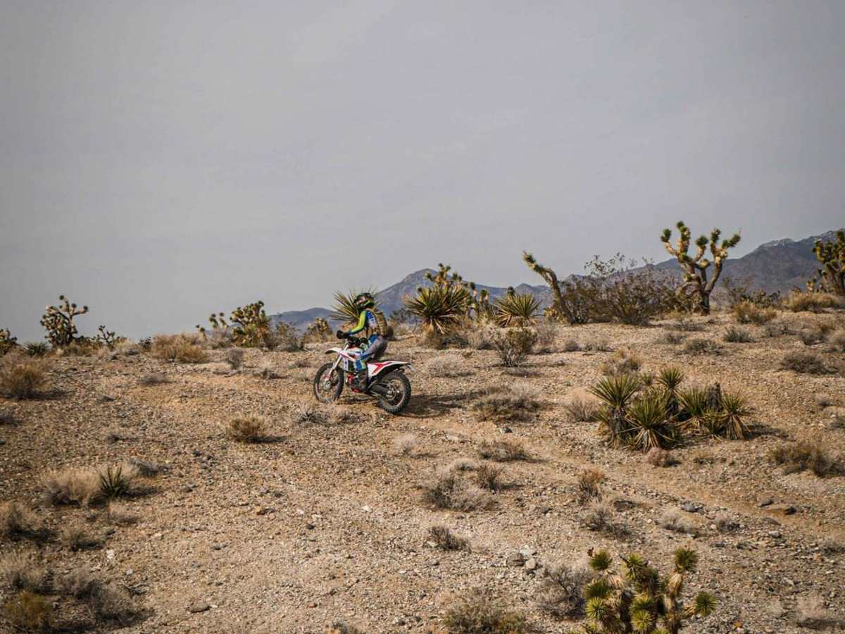 Bill Bike Trail photo 5