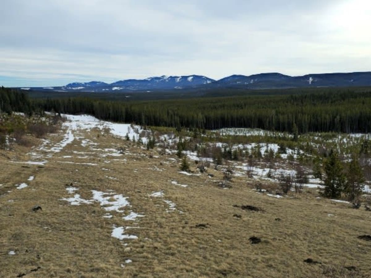 3150 Trail trail photo