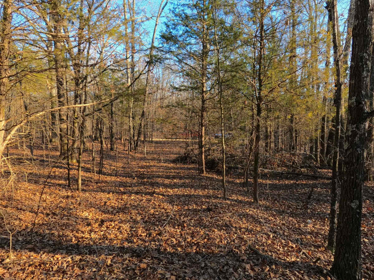 Powerline Road - FS 302 photo 6