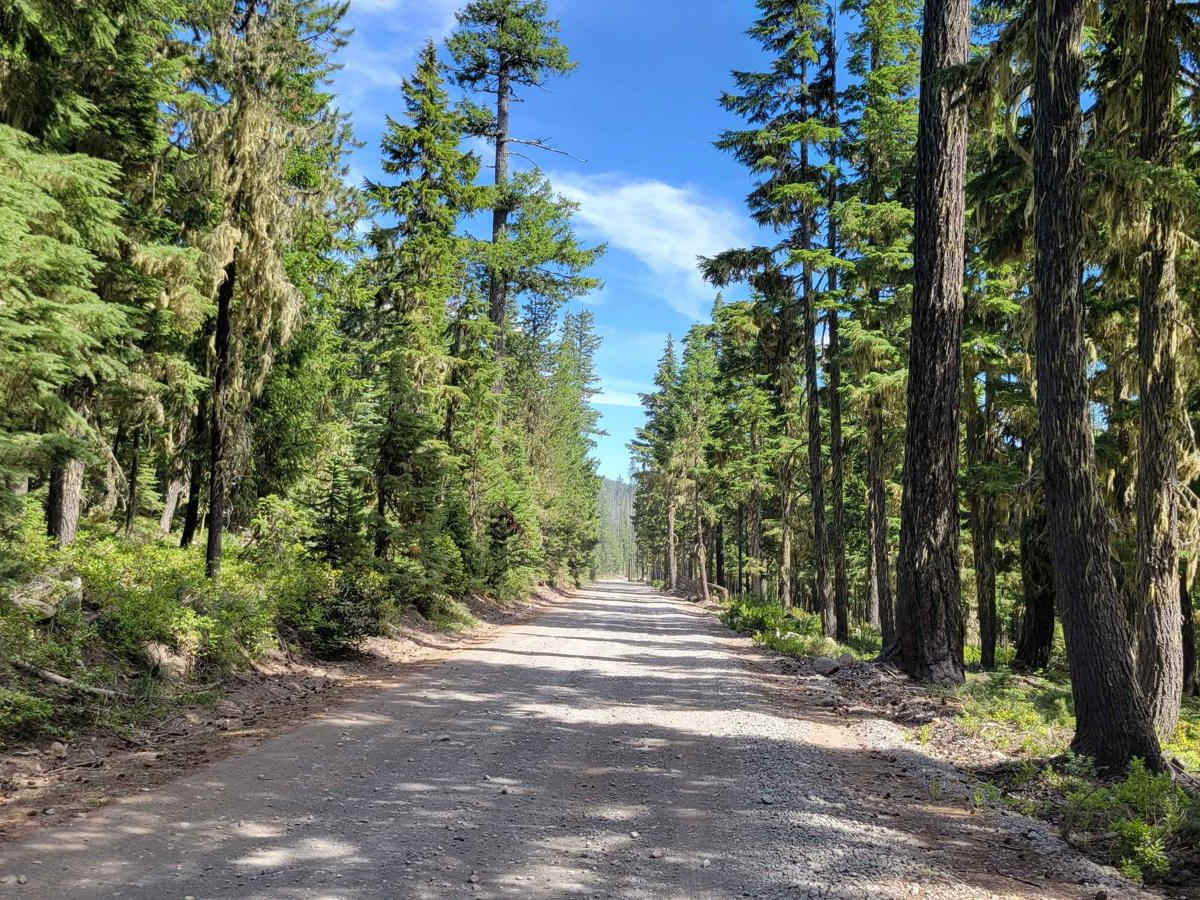 Skyline Road/Olallie Lake - FR 4220 photo 3