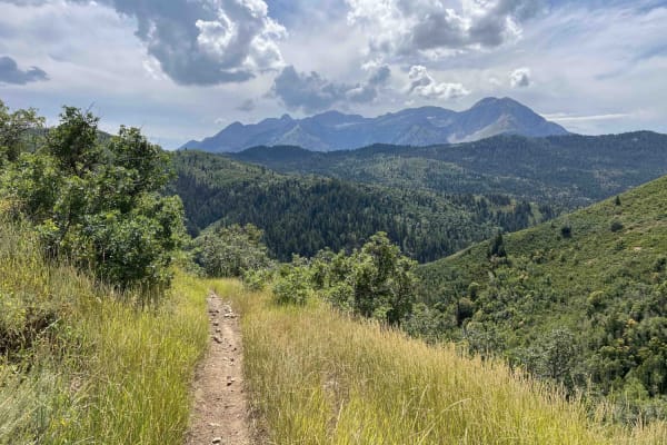 Holman Ridge-Cabin Flat (2172)