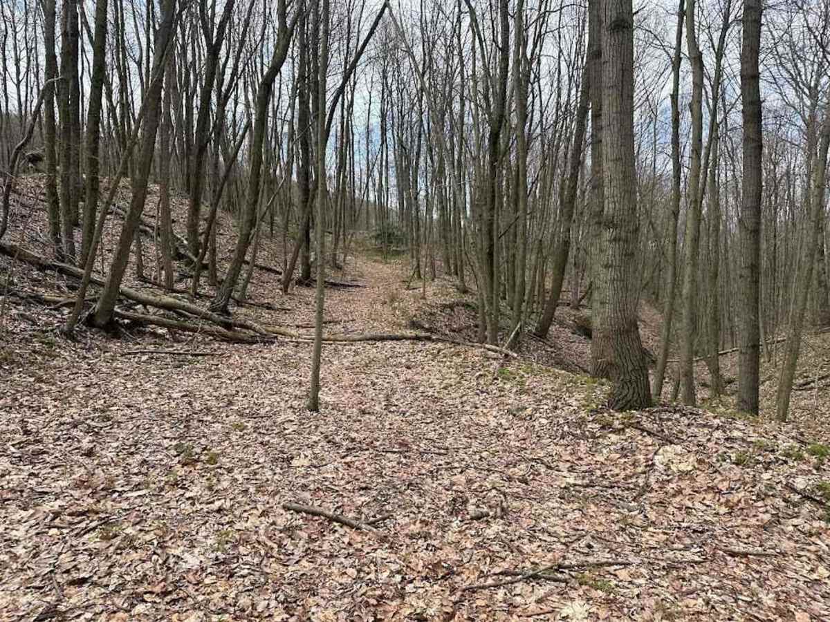Ashland 136 photo 3