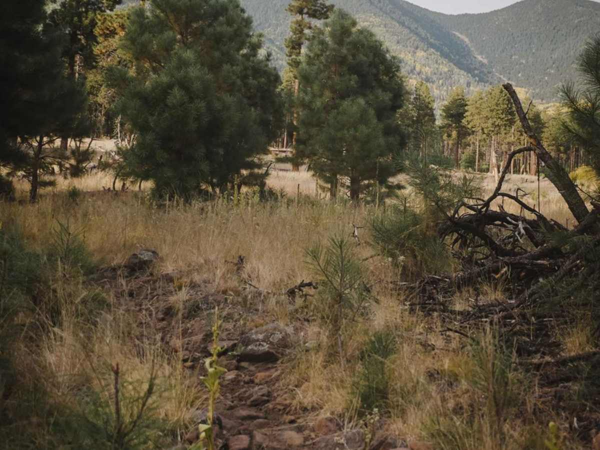 GT trail photo