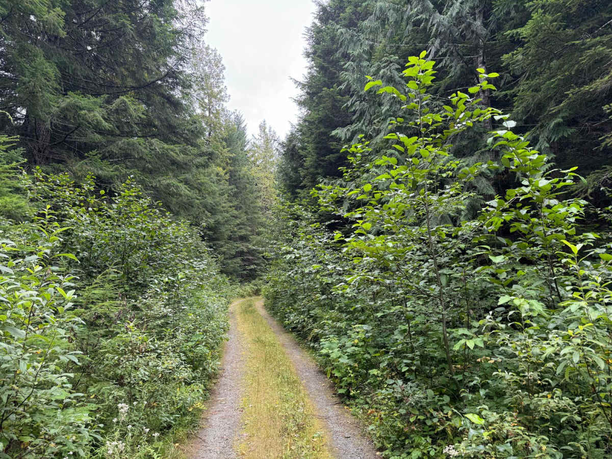 Murphy Creek photo 5
