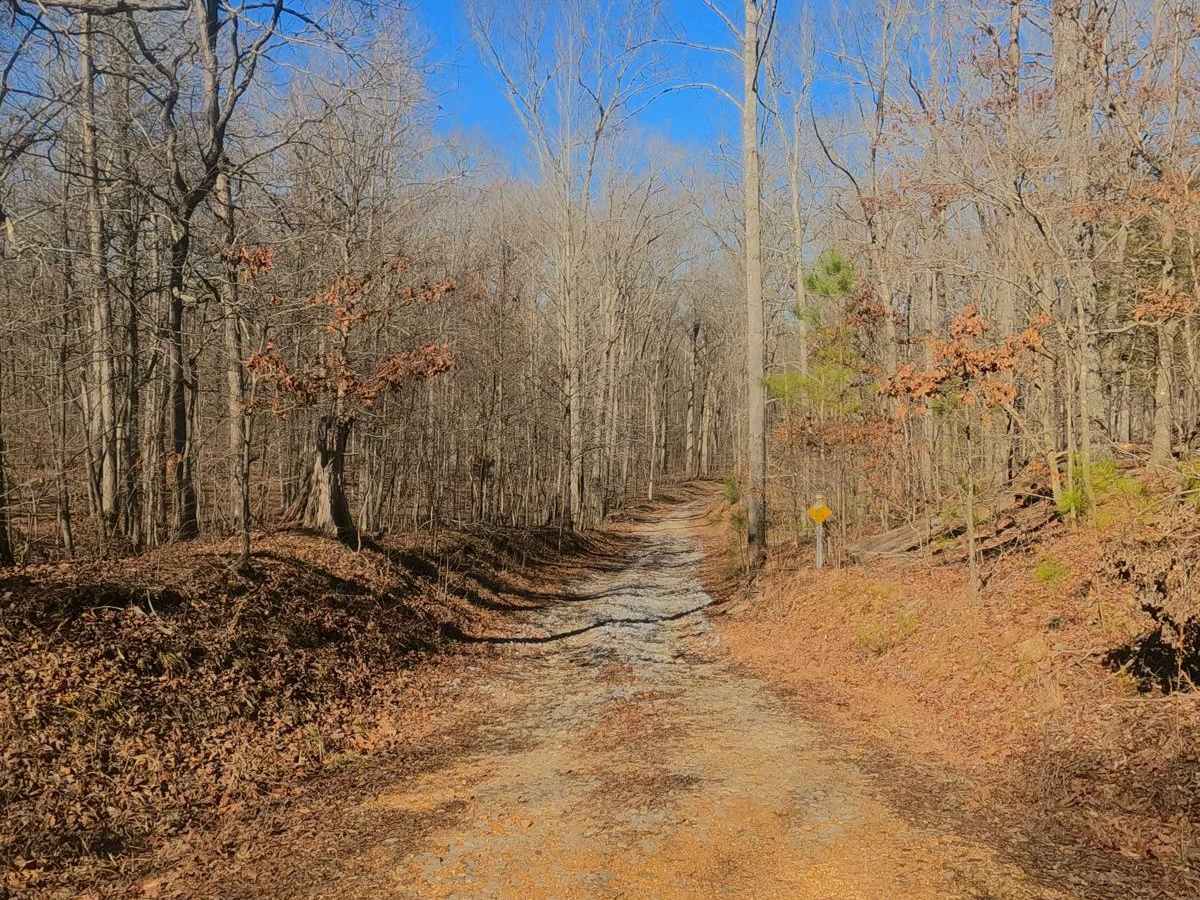 Fulton Furnace Road - FS 315 photo 2