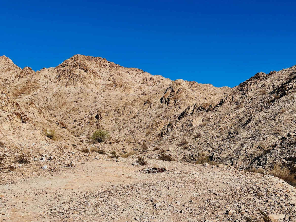 Blaisdell Rifle Range Road photo 6