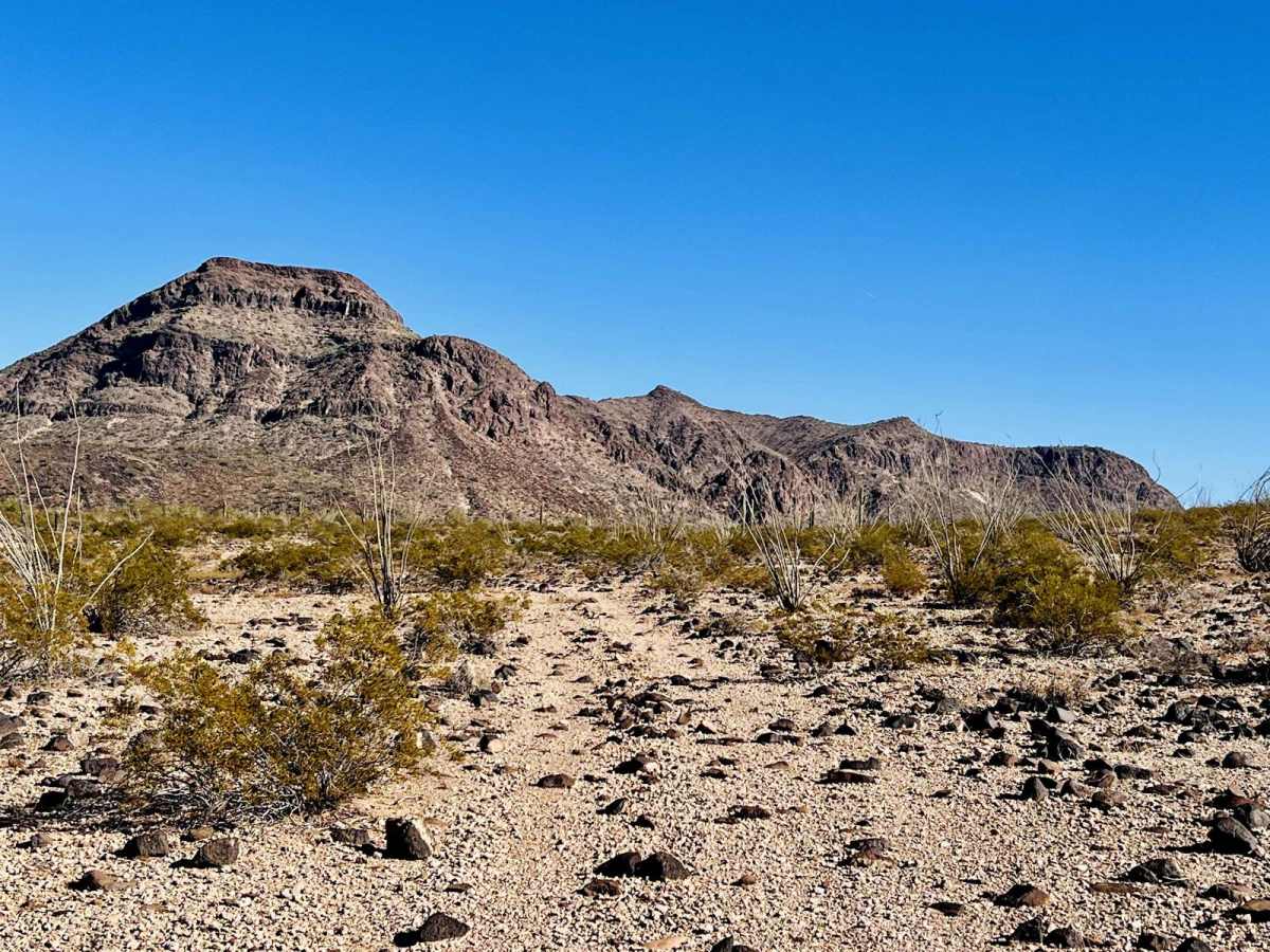 AZ Peace Trail Lava Rock Camp Trail photo 5