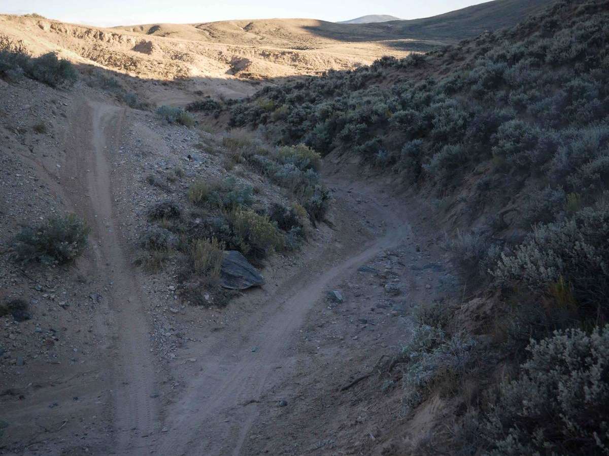 551 ATV photo 4