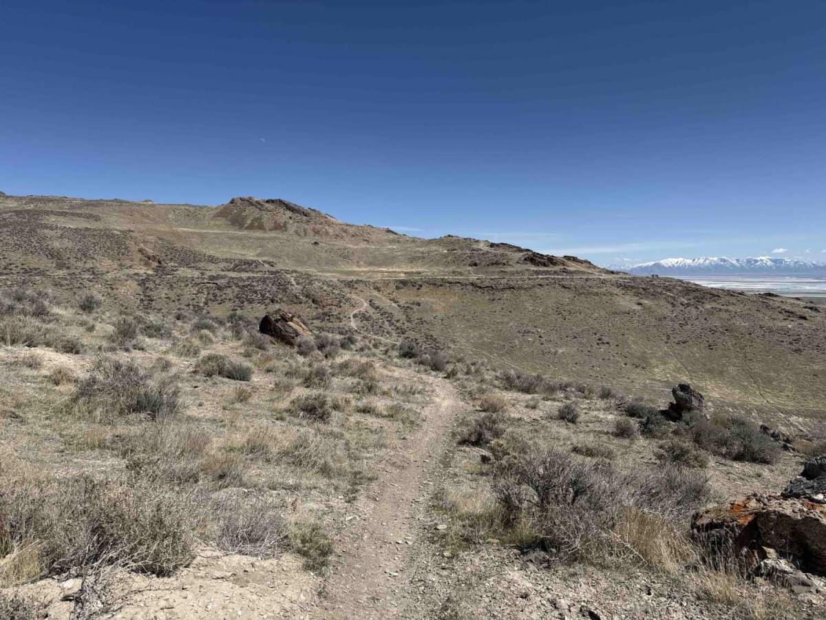 East Magic Mountain photo 5