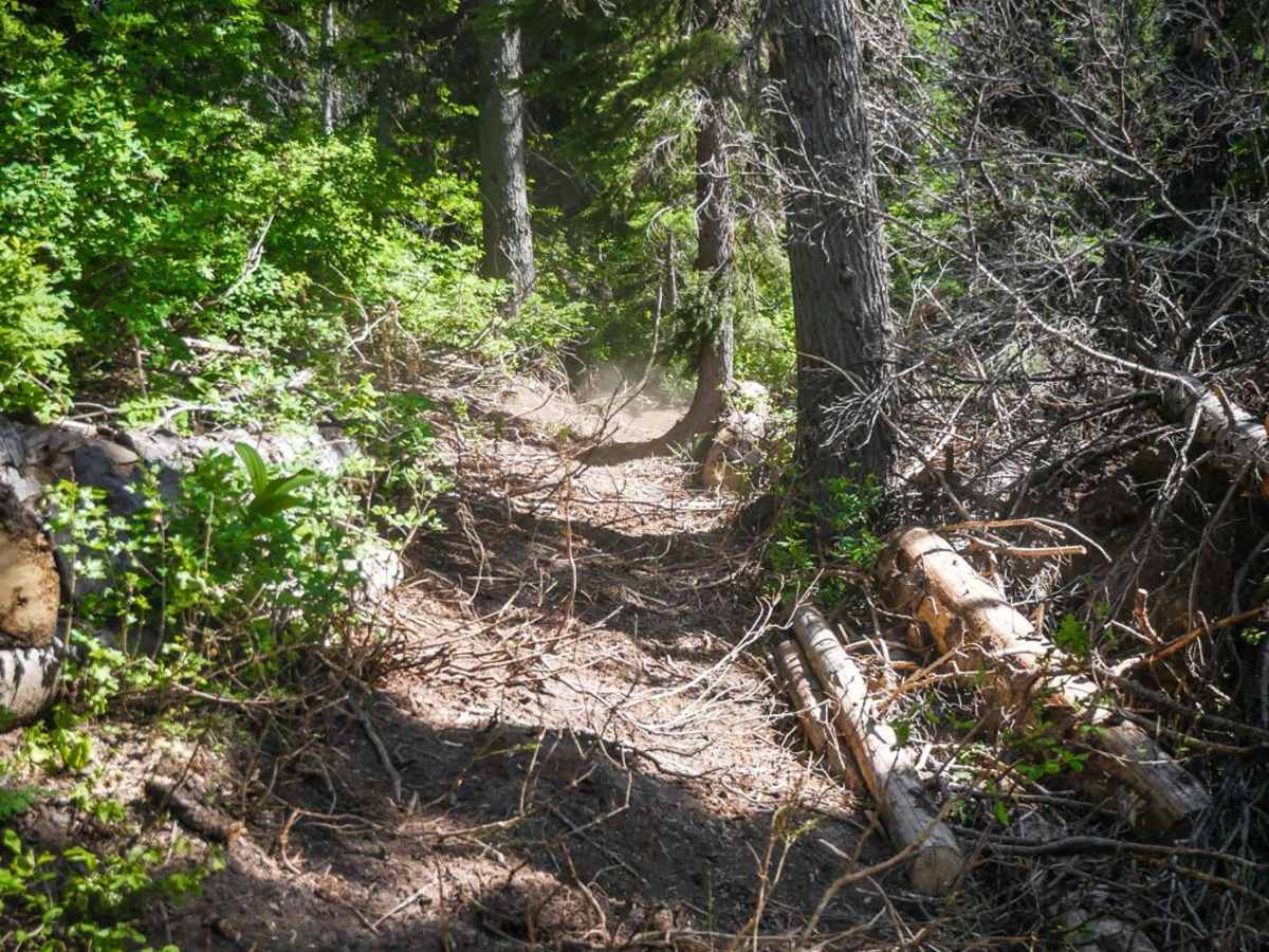 Lake Elsie ATV photo 5