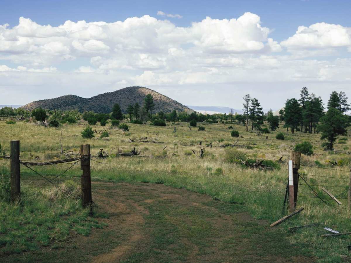 9221? trail photo