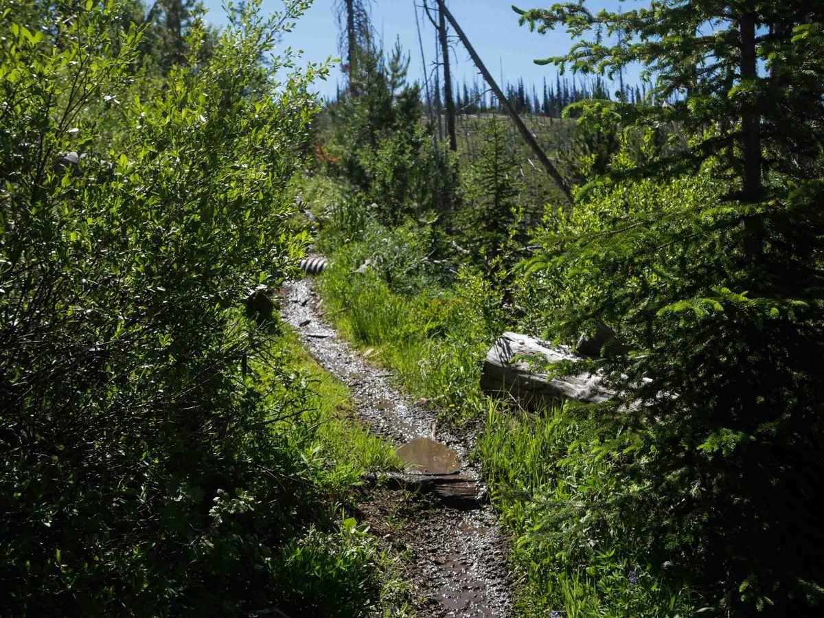 Colter Creek photo 5