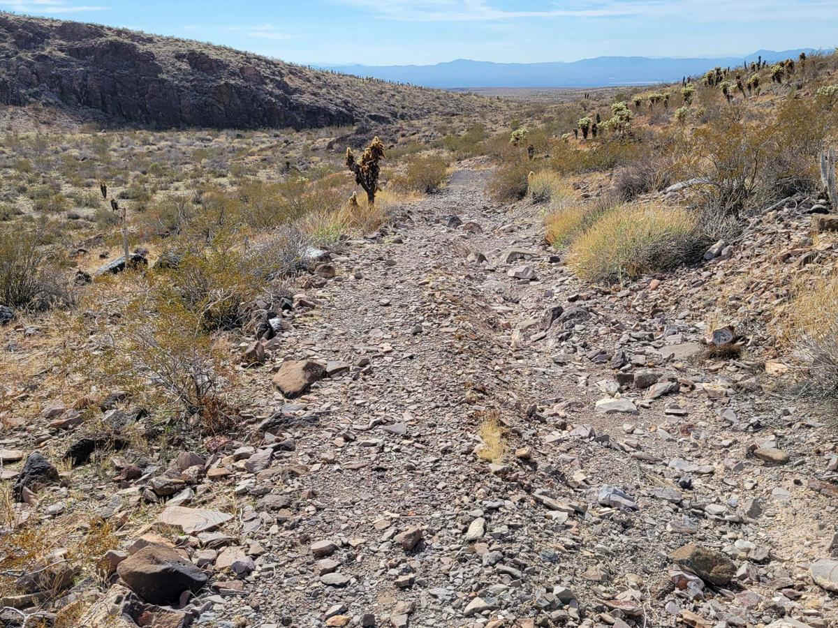 Lone Mine Trail photo 3