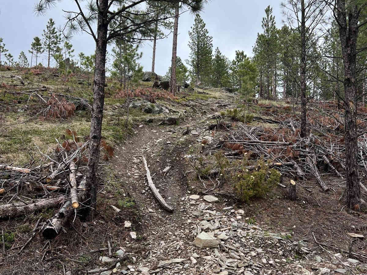 Benchmark Trail photo 5