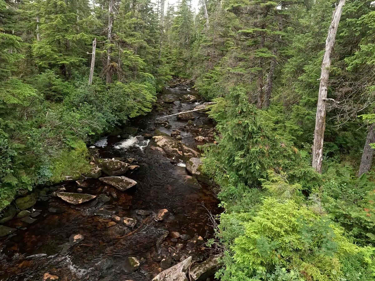 Fools Inlet - 6270 photo 6