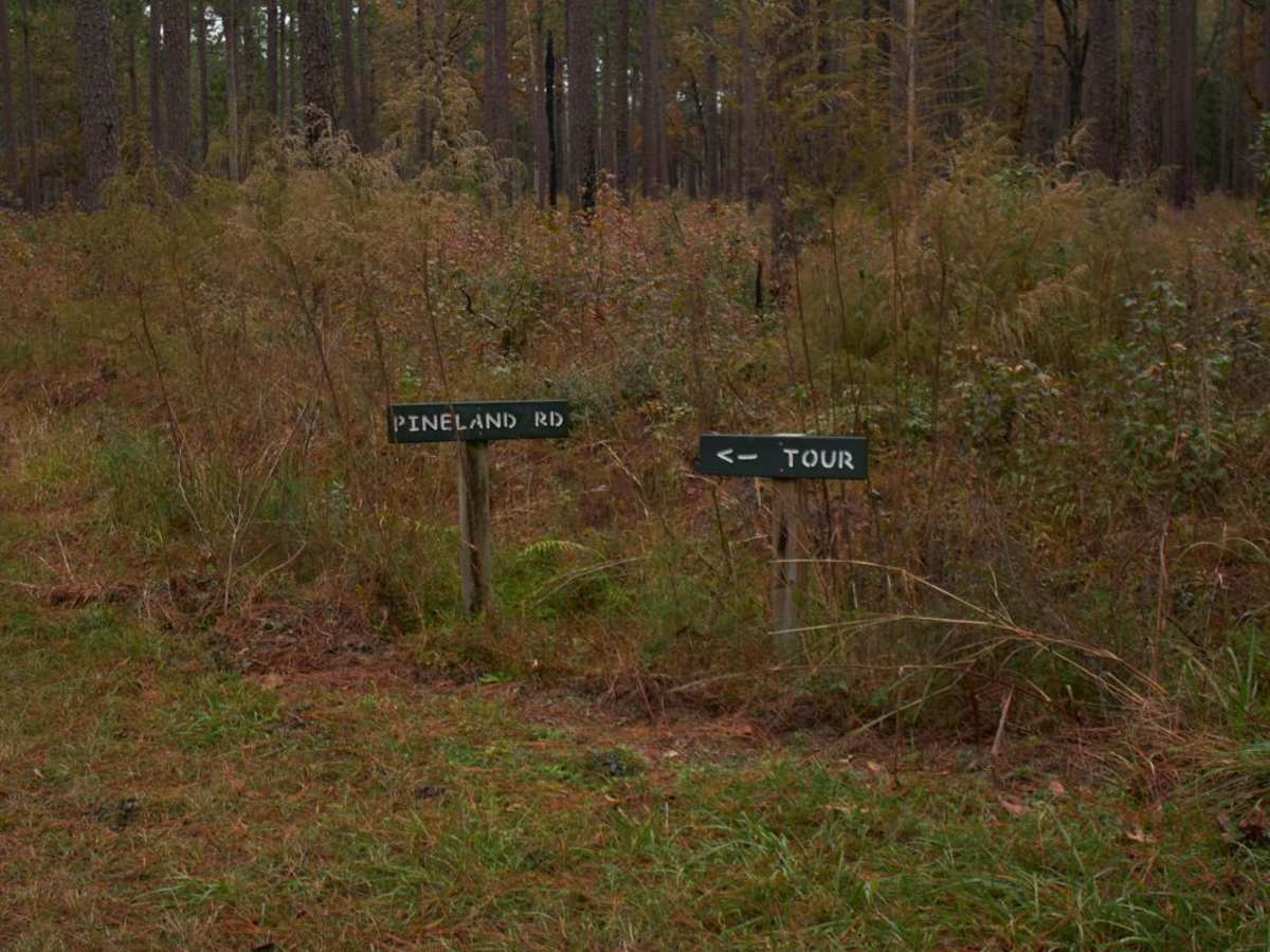 Donnelly WMA PT.6 trail photo