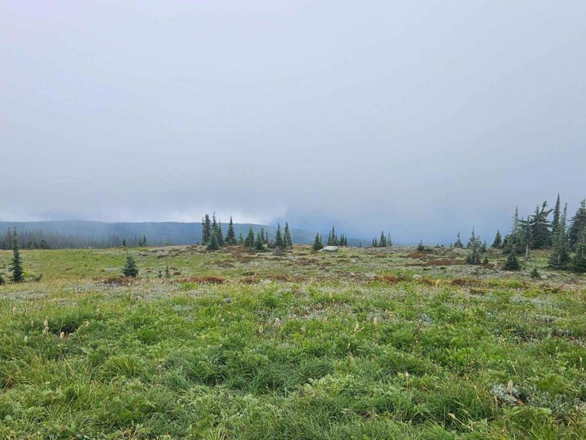 Mount Fowler trail photo