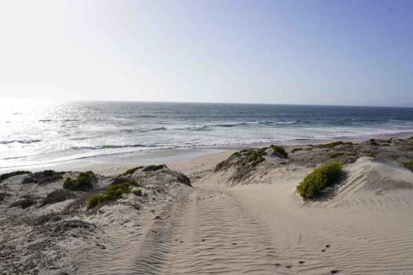 La Bocana Beach Camp