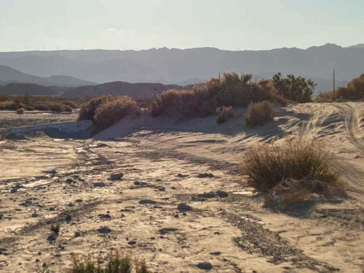 Carrizo Creek photo 6