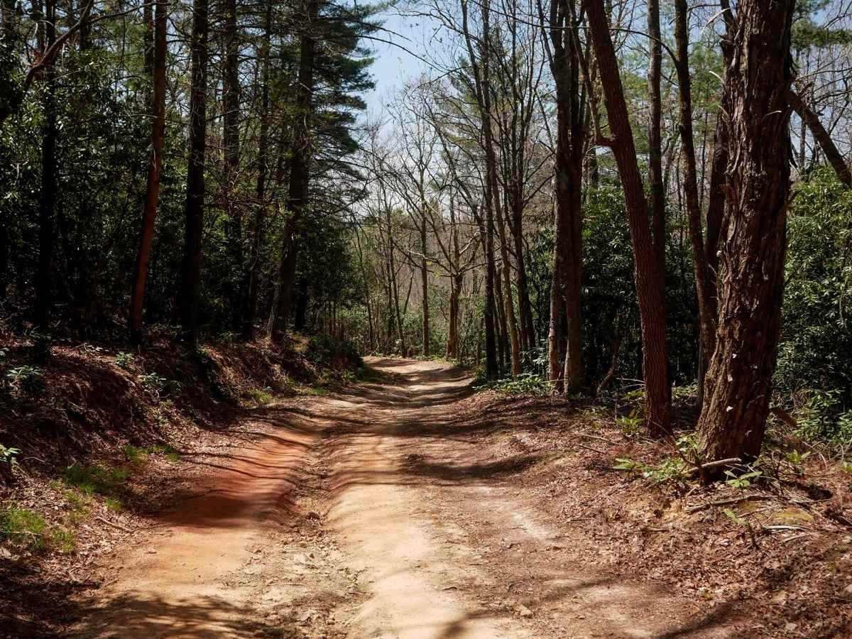 23 trail photo