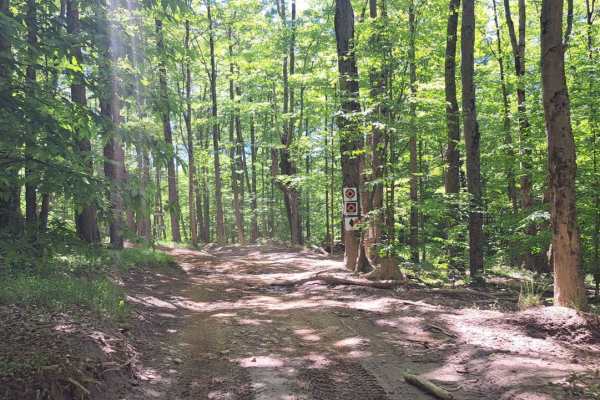 Campground Trail